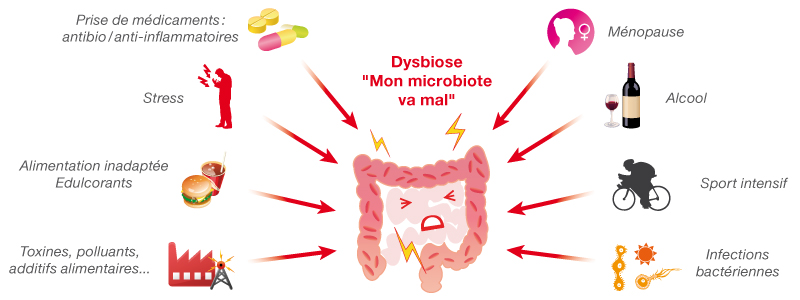 dysbiose_probiotique