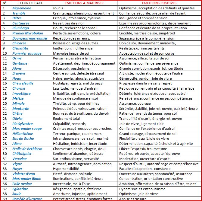 tableau_fleurs-de-Bach1